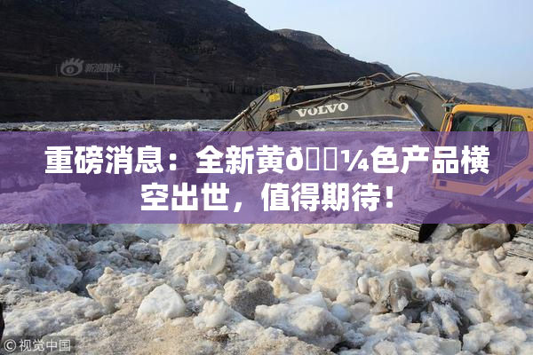 重磅消息：全新黄🌼色产品横空出世，值得期待！