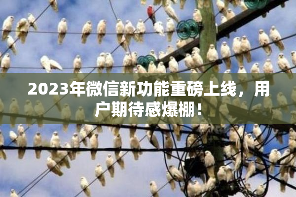 2023年微信新功能重磅上线，用户期待感爆棚！