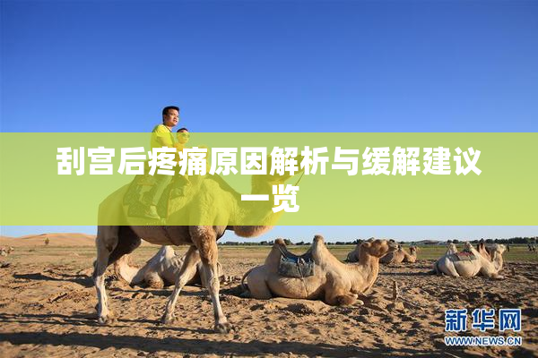 刮宫后疼痛原因解析与缓解建议一览