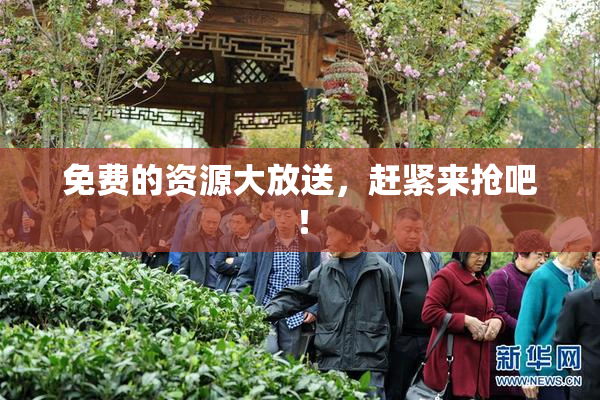 免费的资源大放送，赶紧来抢吧！