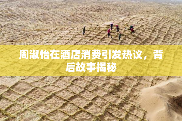 周淑怡在酒店消费引发热议，背后故事揭秘