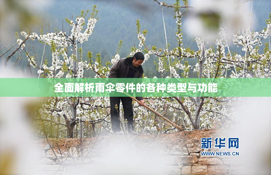 全面解析雨伞零件的各种类型与功能