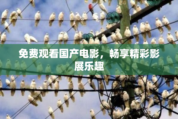 免费观看国产电影，畅享精彩影展乐趣