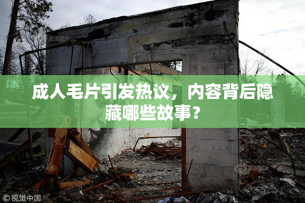 成人毛片引发热议，内容背后隐藏哪些故事？