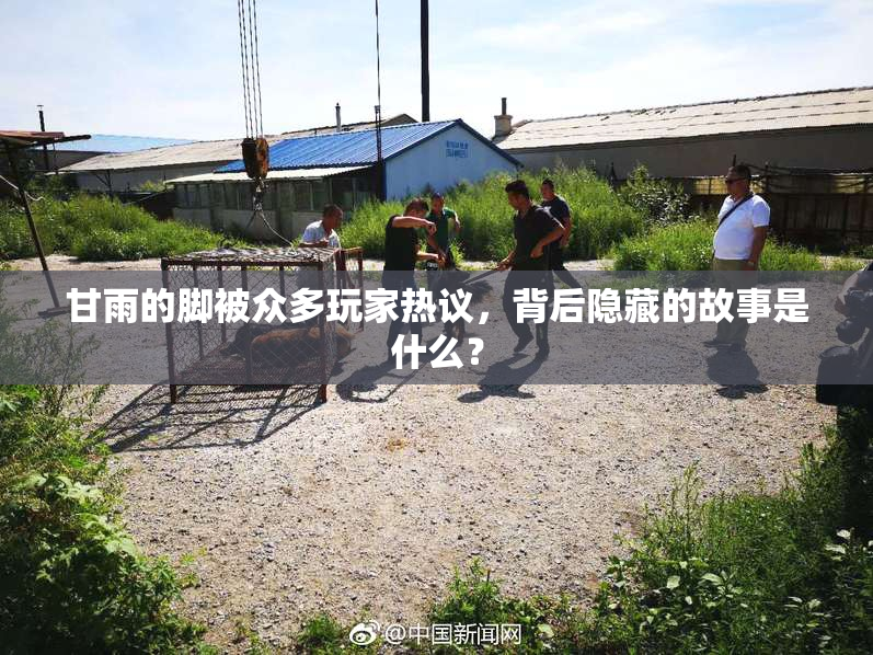 甘雨的脚被众多玩家热议，背后隐藏的故事是什么？
