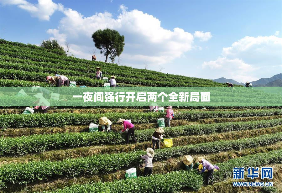 一夜间强行开启两个全新局面