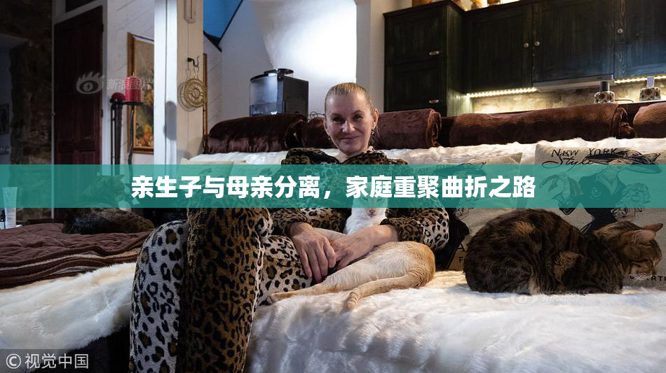 亲生子与母亲分离，家庭重聚曲折之路