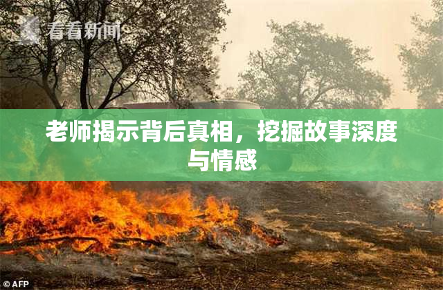 老师揭示背后真相，挖掘故事深度与情感