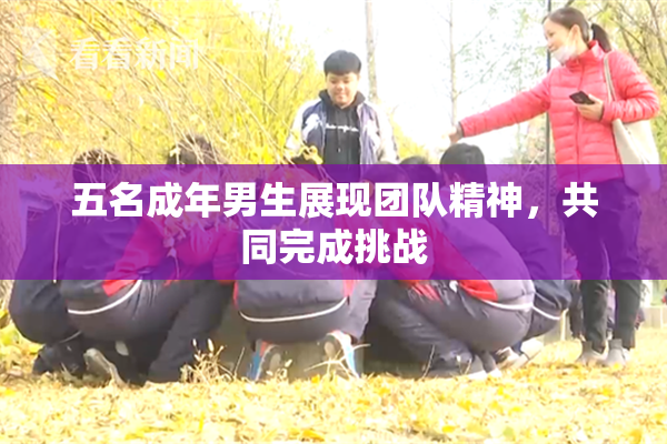 五名成年男生展现团队精神，共同完成挑战