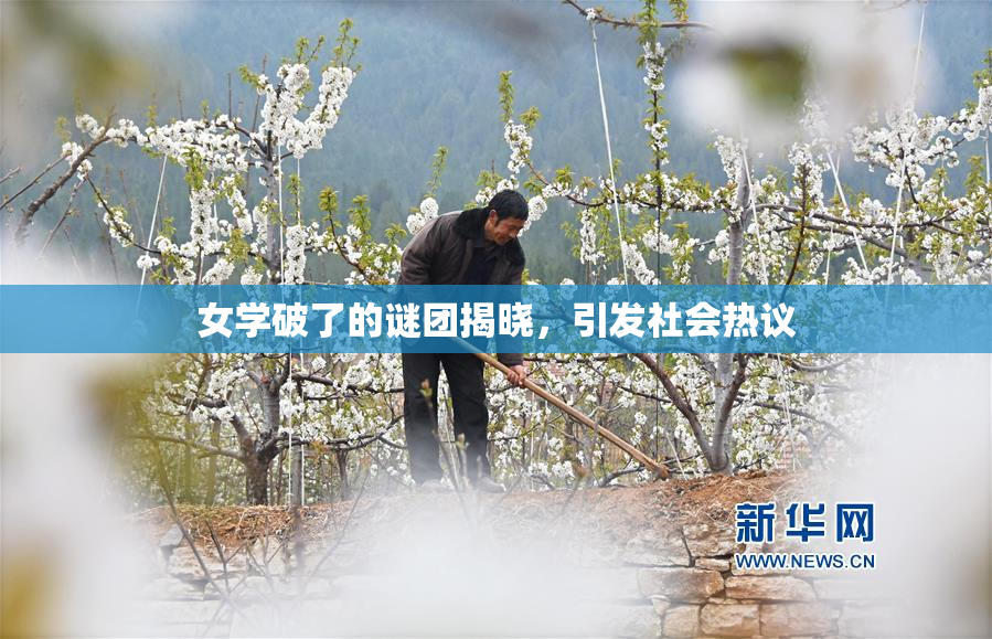 女学破了的谜团揭晓，引发社会热议