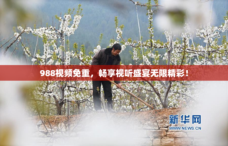 988视频免重，畅享视听盛宴无限精彩！