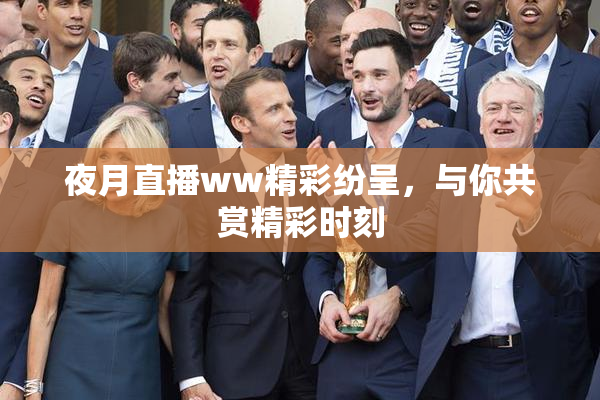 夜月直播ww精彩纷呈，与你共赏精彩时刻