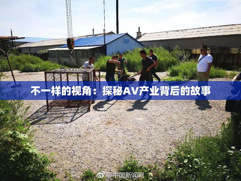 不一样的视角：探秘AV产业背后的故事