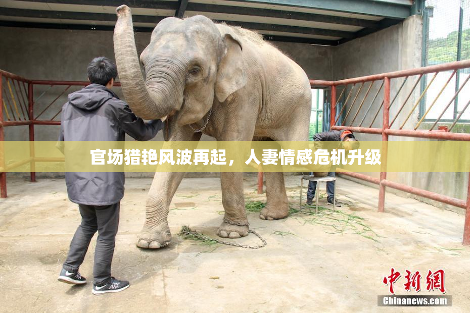 官场猎艳风波再起，人妻情感危机升级