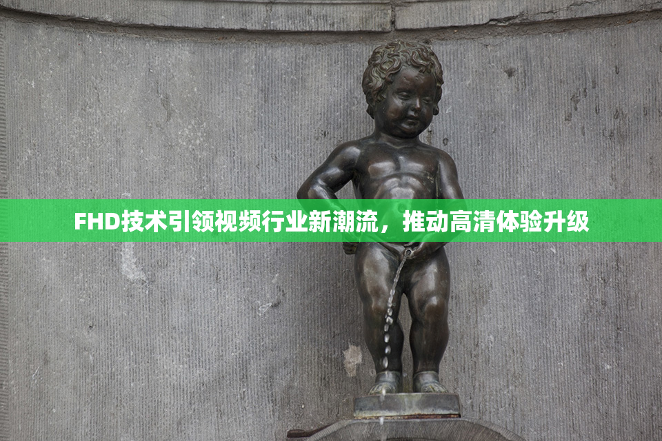 FHD技术引领视频行业新潮流，推动高清体验升级