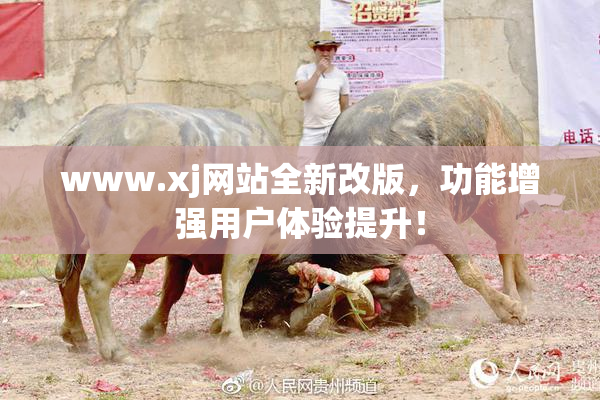 www.xj网站全新改版，功能增强用户体验提升！