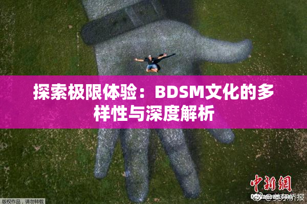 探索极限体验：BDSM文化的多样性与深度解析