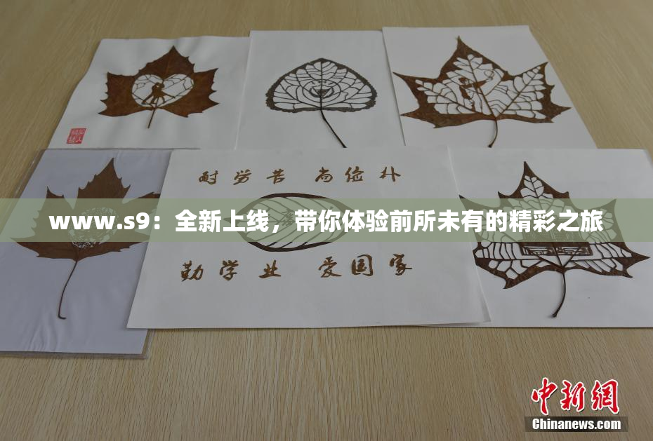 www.s9：全新上线，带你体验前所未有的精彩之旅