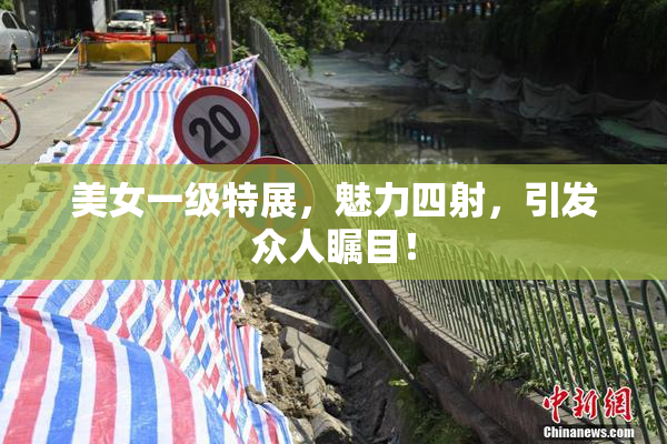 美女一级特展，魅力四射，引发众人瞩目！