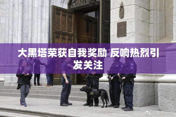 大黑塔荣获自我奖励 反响热烈引发关注