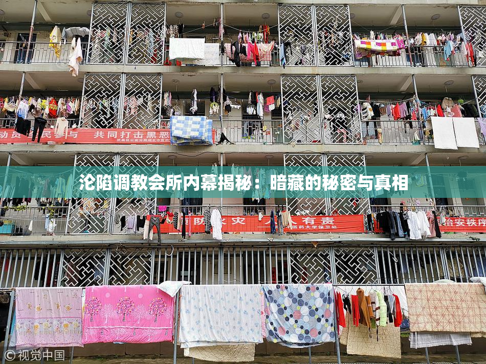 沦陷调教会所内幕揭秘：暗藏的秘密与真相