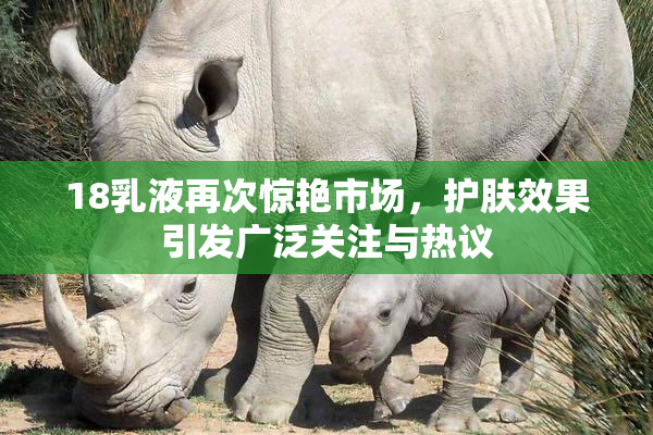 18乳液再次惊艳市场，护肤效果引发广泛关注与热议