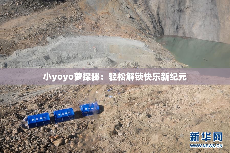 小yoyo萝探秘：轻松解锁快乐新纪元