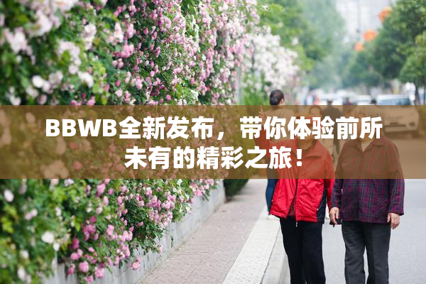 BBWB全新发布，带你体验前所未有的精彩之旅！