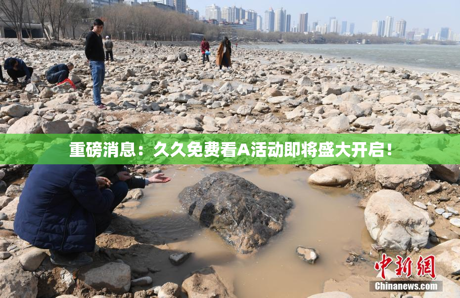 重磅消息：久久免费看A活动即将盛大开启！