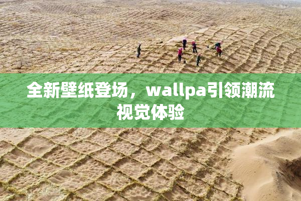 全新壁纸登场，wallpa引领潮流视觉体验