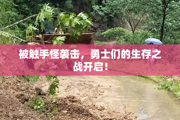 被触手怪袭击，勇士们的生存之战开启！