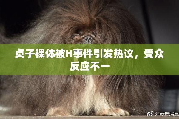 贞子裸体被H事件引发热议，受众反应不一