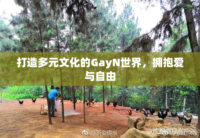 打造多元文化的GayN世界，拥抱爱与自由