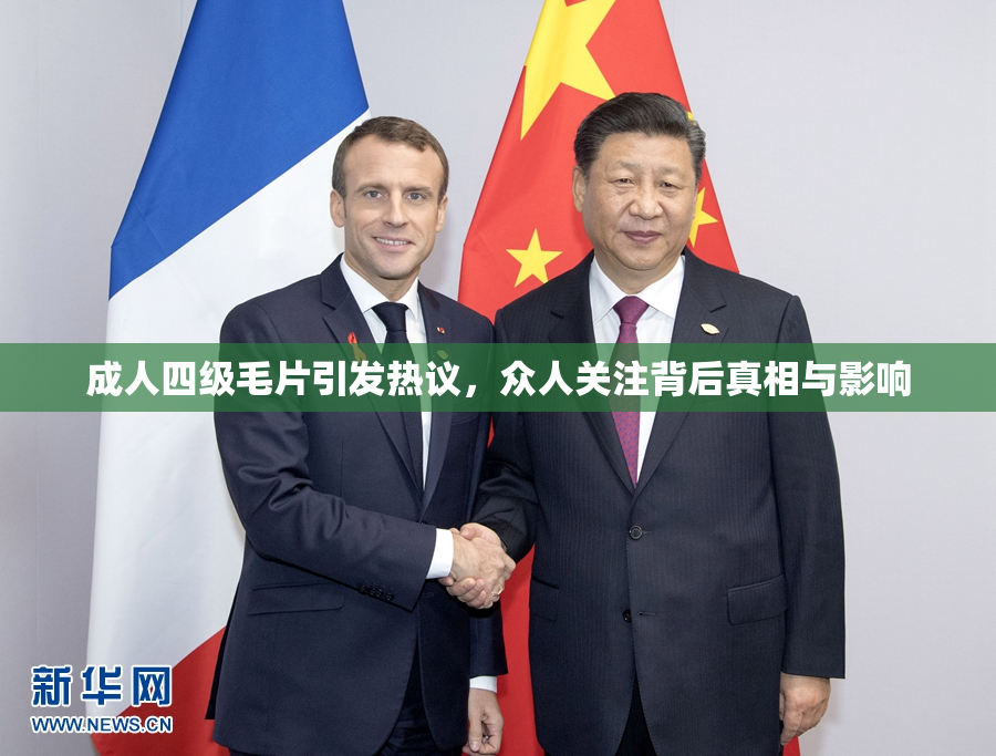 成人四级毛片引发热议，众人关注背后真相与影响