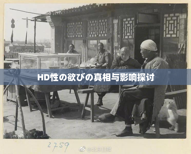 HD性の欲びの真相与影响探讨