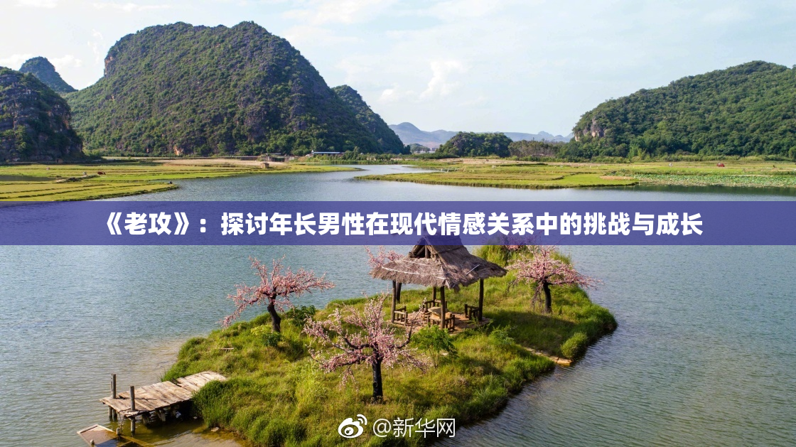 《老攻》：探讨年长男性在现代情感关系中的挑战与成长