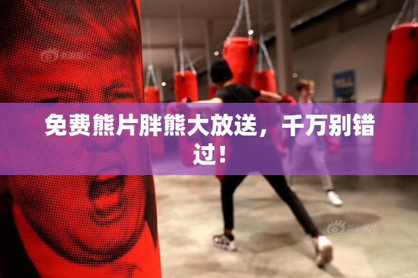 免费熊片胖熊大放送，千万别错过！