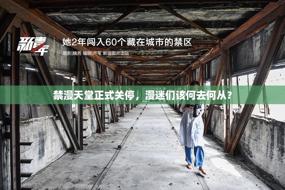 禁漫天堂正式关停，漫迷们该何去何从？