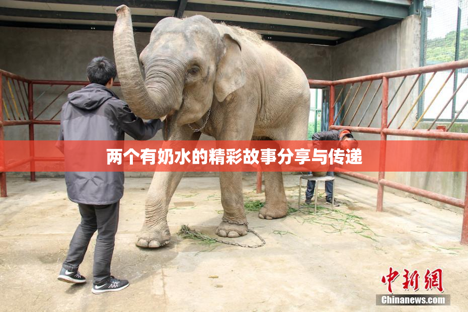 两个有奶水的精彩故事分享与传递