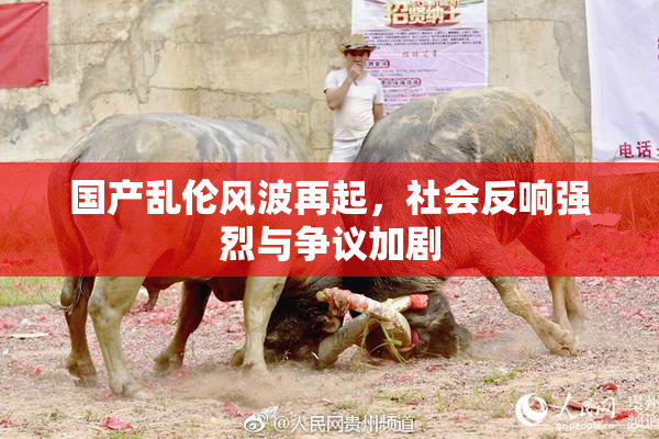 国产乱伦风波再起，社会反响强烈与争议加剧