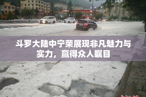 斗罗大陆中宁荣展现非凡魅力与实力，赢得众人瞩目