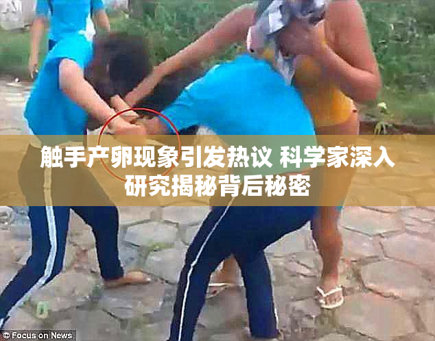 触手产卵现象引发热议 科学家深入研究揭秘背后秘密