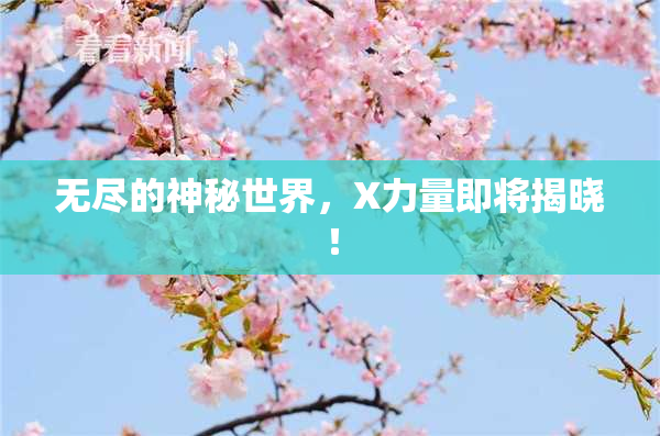 无尽的神秘世界，X力量即将揭晓！