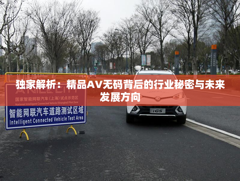 独家解析：精品AV无码背后的行业秘密与未来发展方向