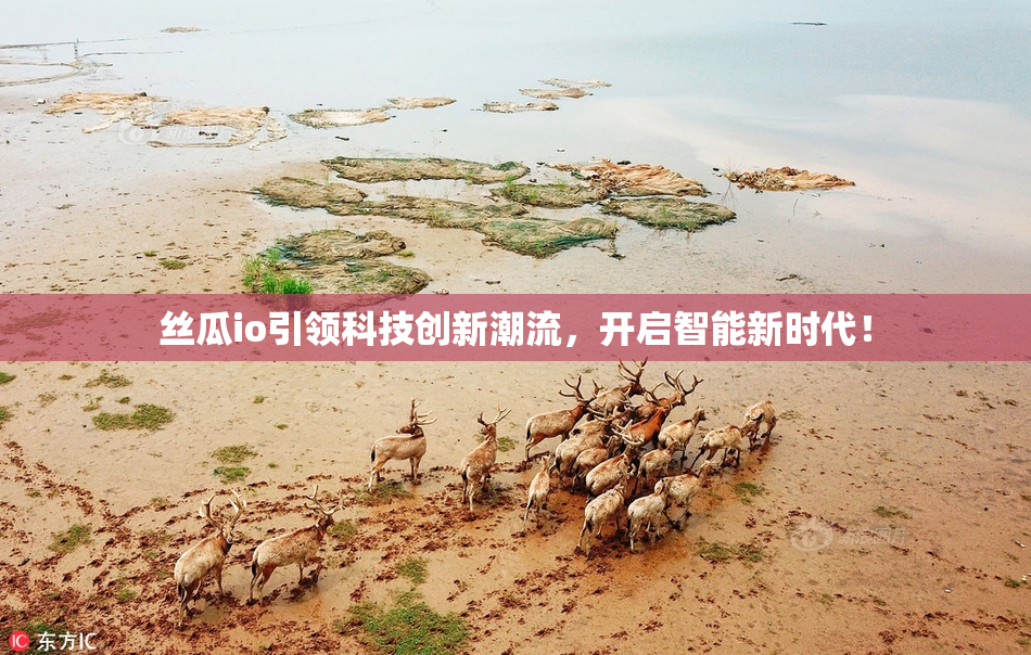 丝瓜io引领科技创新潮流，开启智能新时代！