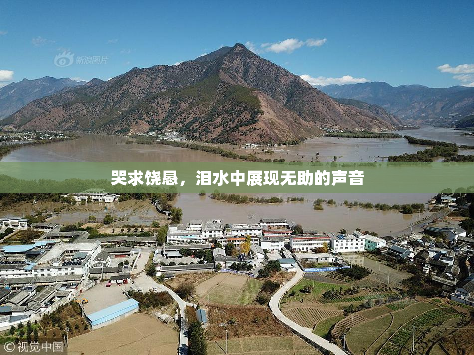 哭求饶恳，泪水中展现无助的声音