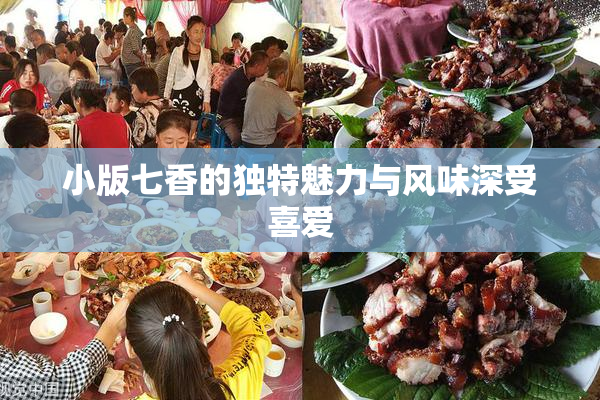 小版七香的独特魅力与风味深受喜爱