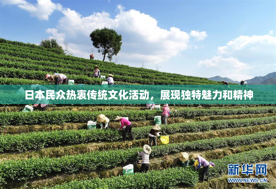 日本民众热衷传统文化活动，展现独特魅力和精神