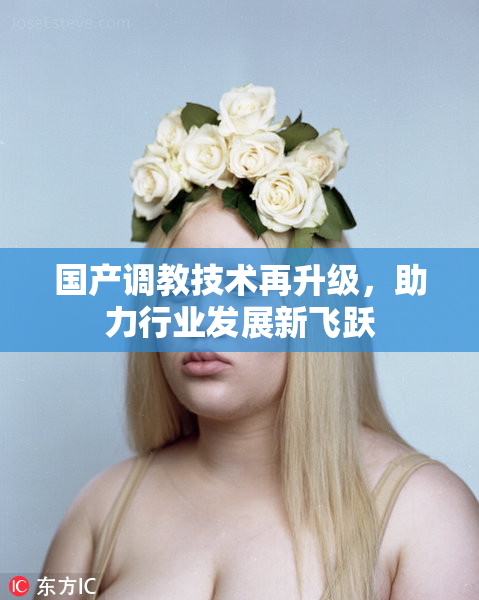国产调教技术再升级，助力行业发展新飞跃