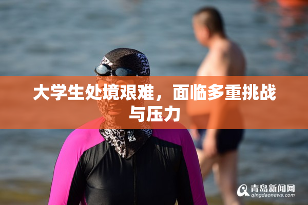 大学生处境艰难，面临多重挑战与压力